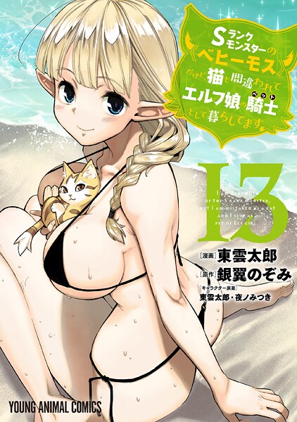 Sランクモンスターの《ベヒーモス》だけど、猫と間違われてエルフ娘の騎士（ペット）として暮らしてます13