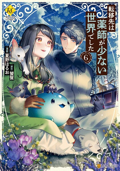 転移先は薬師が少ない世界でした6