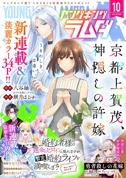 ヤングキングラムダ 42号