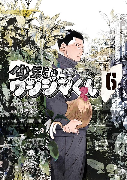 少年院ウシジマくん（6）